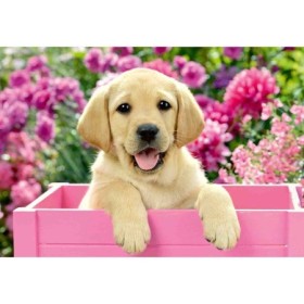 Puzzle catelusi 2x24 piese